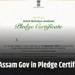 Aba Assam Gov in Pledge Certificate