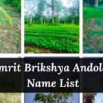 Amrit Brikshya Andolan Name List